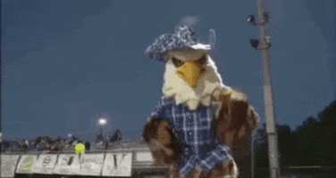 thehubbardeagle mascot cowboy eagle nose GIF