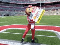 LoganServices osu buckeyes ohio state ohio state buckeyes GIF