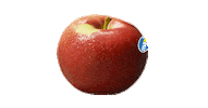 apple wtf Sticker by Maxi