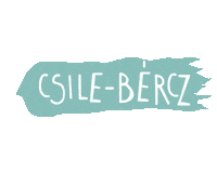 Park Budapest Sticker