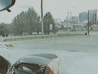 Born Losers GIF by Stray Fossa