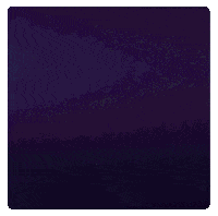 GIF by Silent Rival