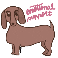 Sausage Dog Sticker
