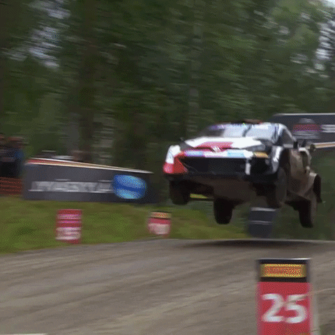 Ford Wow GIF by FIA World Rally Championship