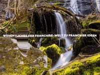 Enjoy Lol GIF by FranchiseONE.de