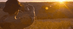 Hell Yeah Sun GIF by TIFF
