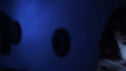 season 5 dark GIF by Portlandia