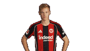 Eintracht Frankfurt Sticker by Bundesliga