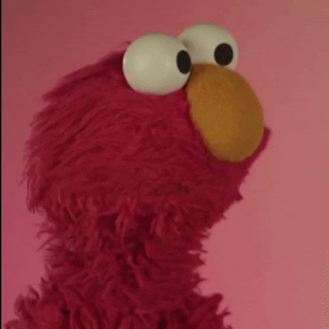 Looking At You What GIF by Sesame Street