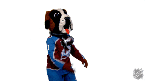 Colorado Avalanche Sport GIF by NHL