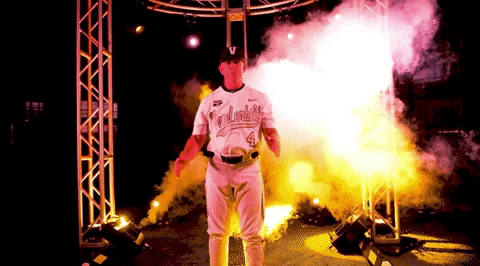 college world series cws GIF by NCAA Championships