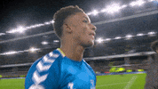 Everton Fc Hug GIF by Everton Football Club