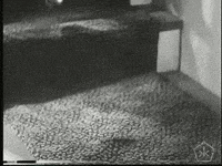 open knowledge film GIF by Okkult Motion Pictures