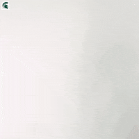 Go Green Womens Soccer GIF by Michigan State Athletics