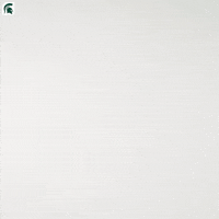 Womens Soccer Happy Dance GIF by Michigan State Athletics