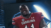 College Football GIF by gamecocksonline