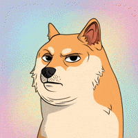 Unimpressed Shiba Inu GIF by Doge Pound