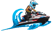 Racing Ski Sticker by SMD Graphics