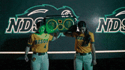 Ndsu Softball GIF by NDSU Athletics