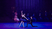 Swanlake GIF by English National Ballet