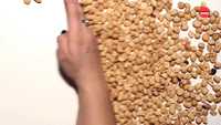 720 Peanuts