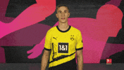 Borussia Dortmund Football GIF by Bundesliga