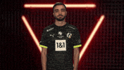 Borussia Dortmund Football GIF by Bundesliga