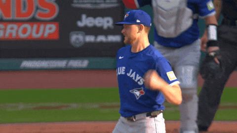 Lets Go Baseball GIF by Toronto Blue Jays