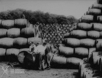 NationalWWIMuseum black and white wine military footage GIF