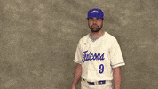 Cuw GIF by CUWFalcons