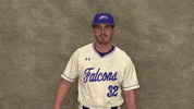 Cuw GIF by CUWFalcons