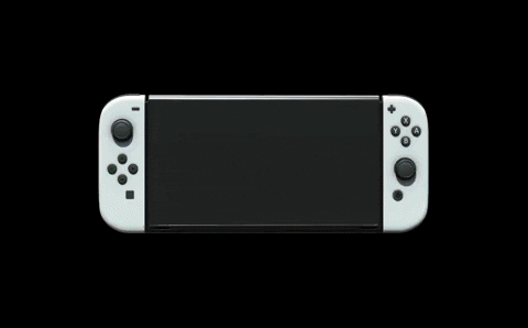 Nintendo Switch GIF