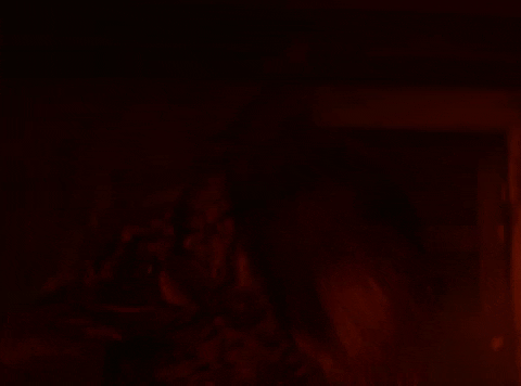 Neon Rated GIF by NEON