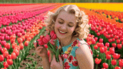 socialwebcafe video ai animations videography GIF