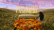 Summer Flowers GIF by Tkay Maidza