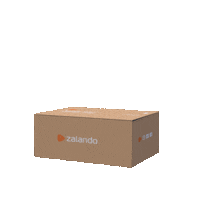 Fashion Shopping Sticker by Zalando