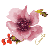 Valentinesday Sticker by Camilla With Love Australia