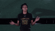 Ncaa Sports Sport GIF by Wright State University Athletics