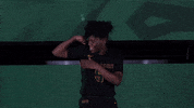 Ncaa Sports Sport GIF by Wright State University Athletics