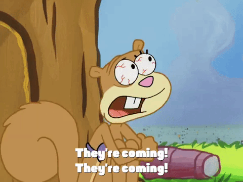 season 4 episode 10 GIF by SpongeBob SquarePants