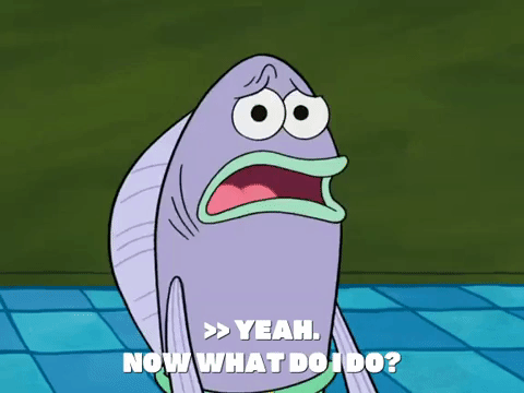 season 6 episode 21 GIF by SpongeBob SquarePants