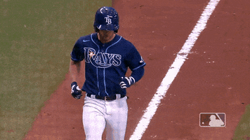 Regular Season Sport GIF by MLB
