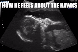 hawkeyes cyclones iowa hawkeyes iowa state go cyclones GIF