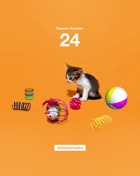 save them all best friends GIF by Best Friends Animal Society