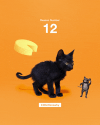 save them all best friends GIF by Best Friends Animal Society