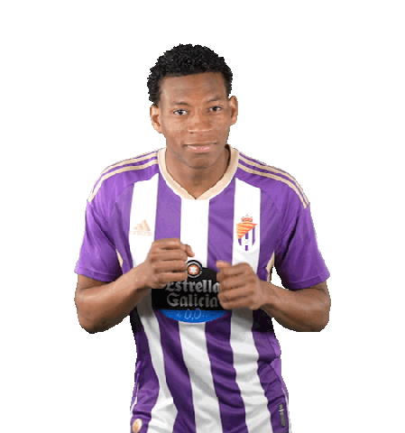 Football Soccer Sticker by Real Valladolid