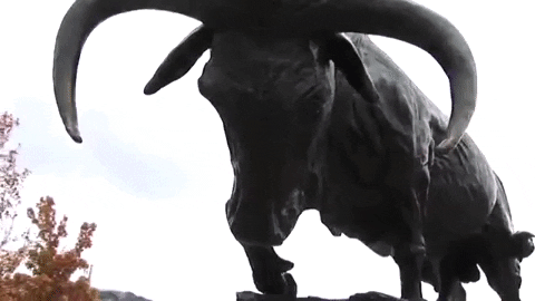 usu GIF by Utah State University