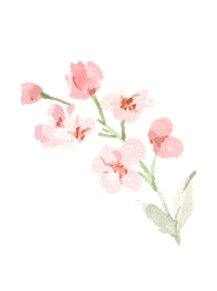 stfrock pink flower flowers rose Sticker