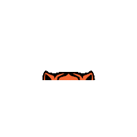 South Carolina Clemson Graduation Sticker by Clemson University