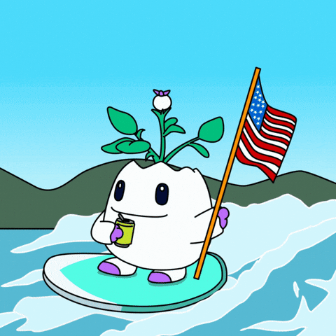 United States Nod GIF by Magic Eden